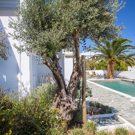 Amphitrite Apartments Skyros Exterior photo