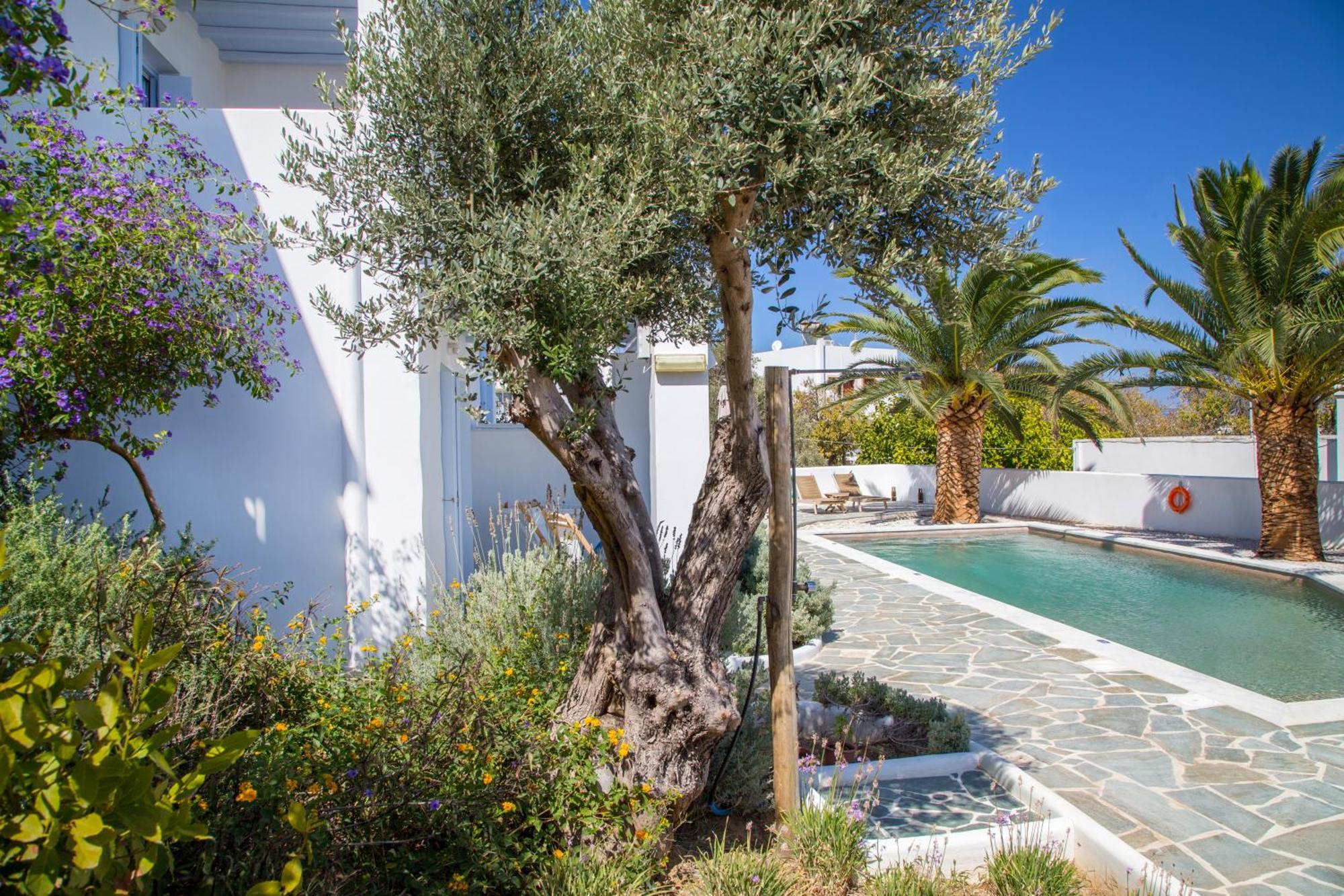 Amphitrite Apartments Skyros Exterior photo